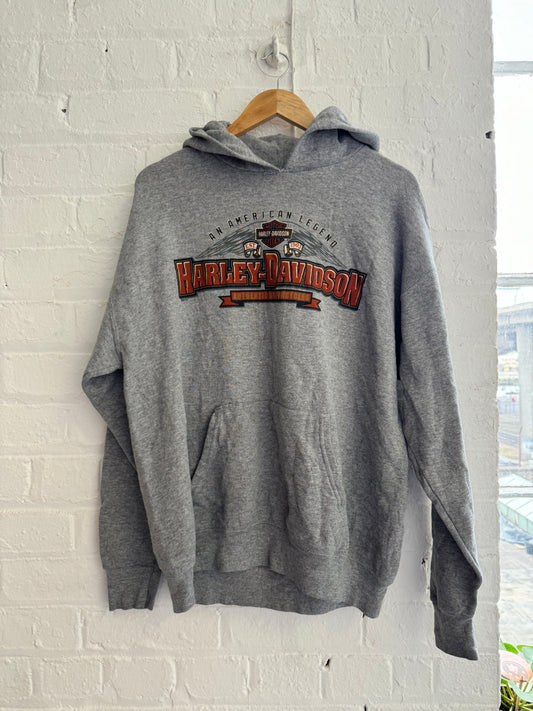 Vintage Harley Davidson hoodie