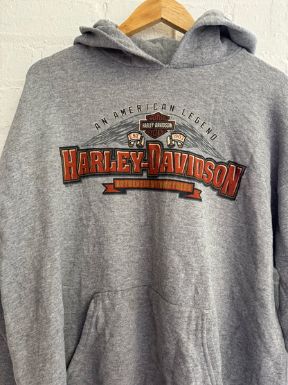 Vintage Harley Davidson hoodie